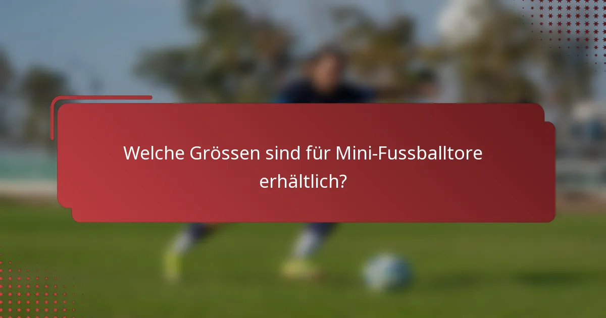 Welche Grössen sind für Mini-Fussballtore erhältlich?