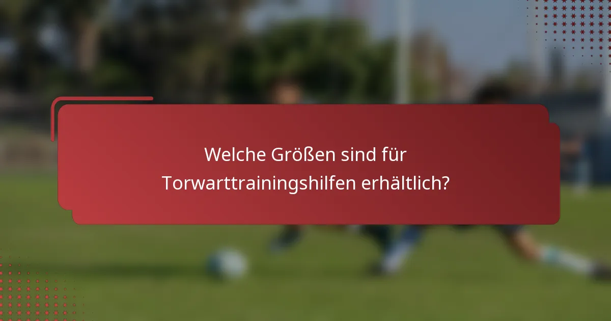 Welche Größen sind für Torwarttrainingshilfen erhältlich?