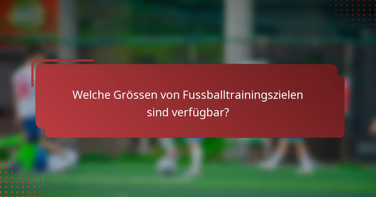 Welche Grössen von Fussballtrainingszielen sind verfügbar?