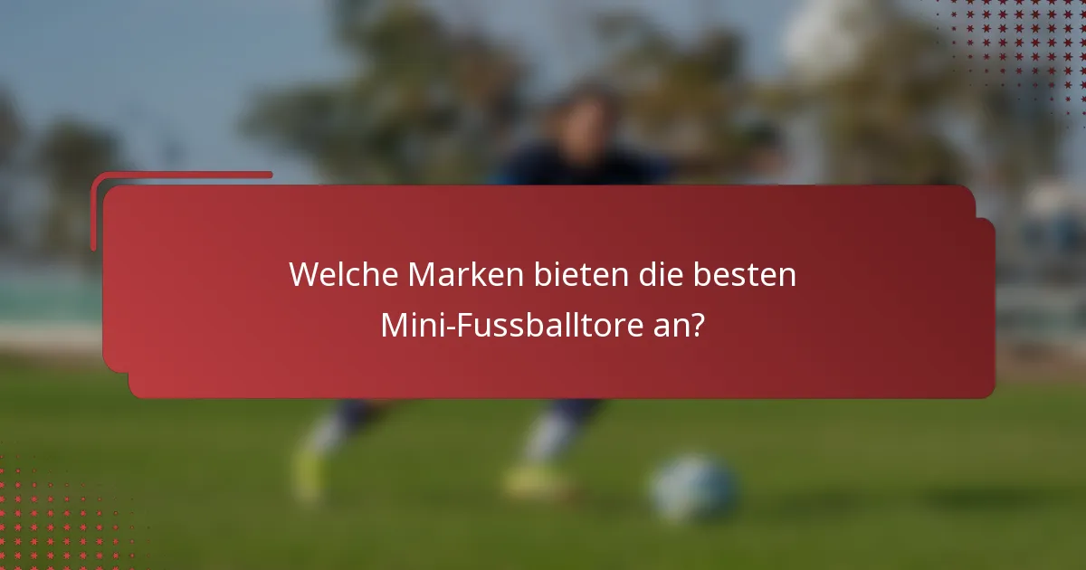 Welche Marken bieten die besten Mini-Fussballtore an?