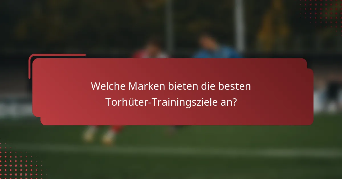 Welche Marken bieten die besten Torhüter-Trainingsziele an?