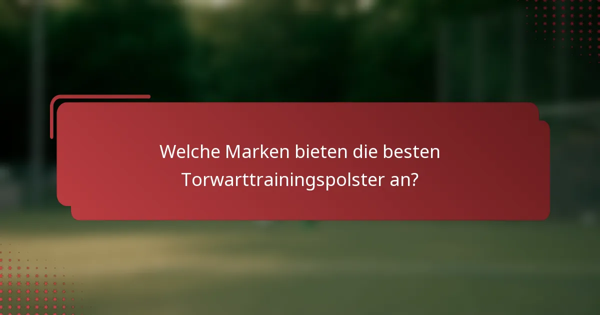 Welche Marken bieten die besten Torwarttrainingspolster an?