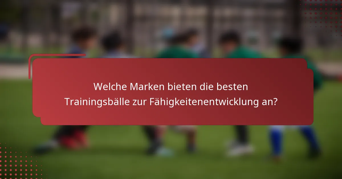 Welche Marken bieten die besten Trainingsbälle zur Fähigkeitenentwicklung an?