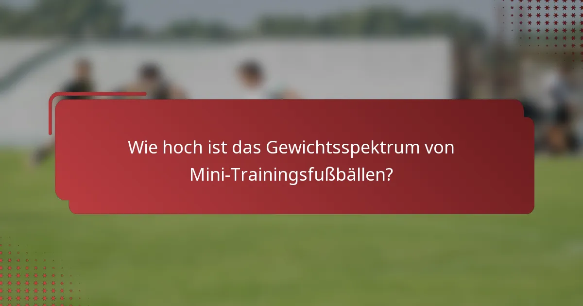 Wie hoch ist das Gewichtsspektrum von Mini-Trainingsfußbällen?