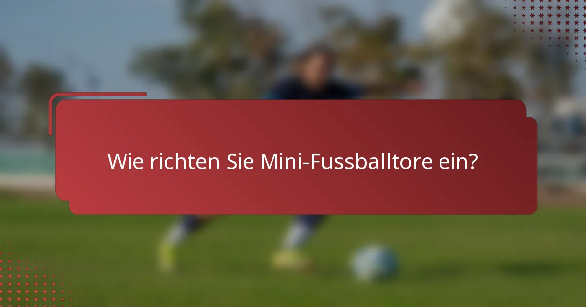 Wie richten Sie Mini-Fussballtore ein?